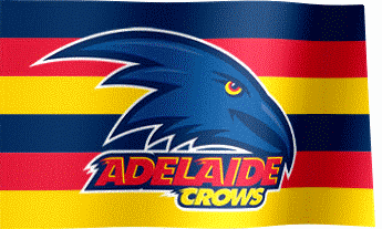 Adelaide Football Club Flag