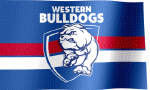 Western Bulldogs Flag