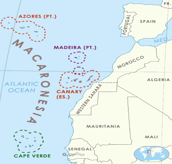 islands of macaronesia